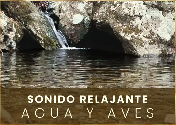 Sonido Relajante De Agua Y Aves Para Meditar Y Respirar