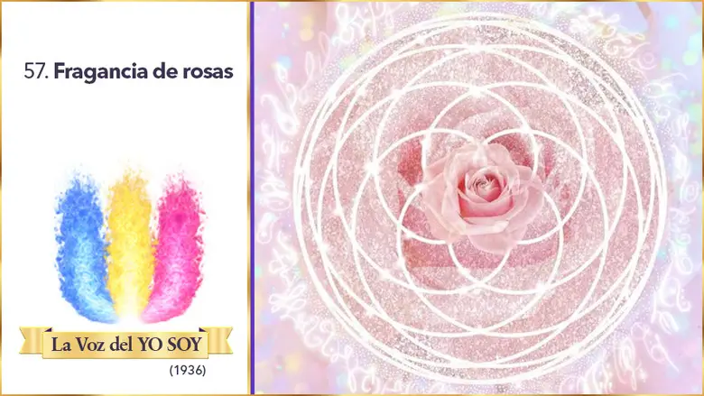 Fragancia De Rosas | Mr. Ballard