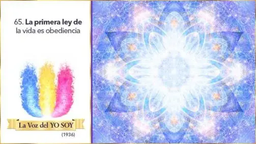 La Primera Ley De La Vida Es Obediencia