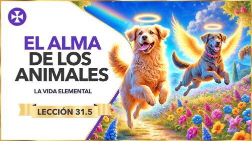 El Alma De Los Animales | Los Seres Elementales - Lección 31.5